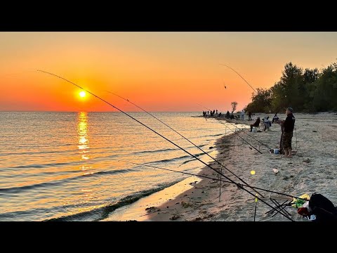Видео: 10 КГ ЗА 3 ЧАСА!! ЛОВЯТ ВСЕ КОМУ НЕ ЛЕНЬ. НА РЕКЕ НЕГДЕ СТАТЬ. ОЧЕНЬ АКТИВНАЯ РЫБАЛКА