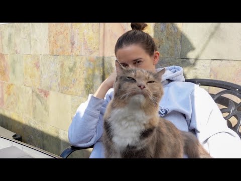 Видео: У меня слишком много животных...