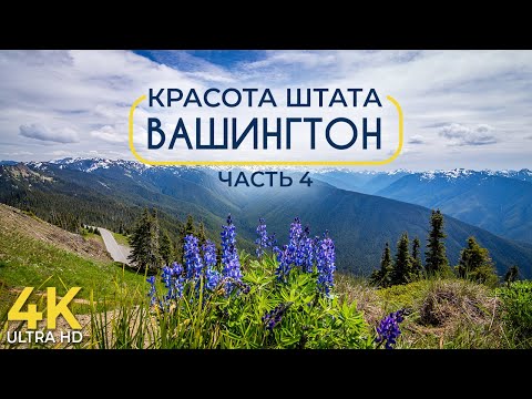 Видео: Красота Штата Вашингтон - Документальный фильм о природе #4 - Восточный Вашингтон и Парк Олимпик