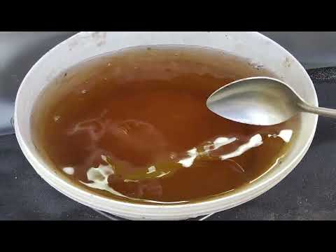 Видео: #510 .Первый полив черенков пеларгонии после высадки в бОльший объём:сколько и чем!