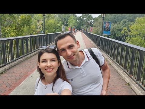 Видео: #37. Что нужно сделать до переезда в США?