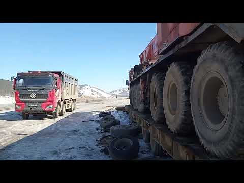 Видео: Март 2025 г.