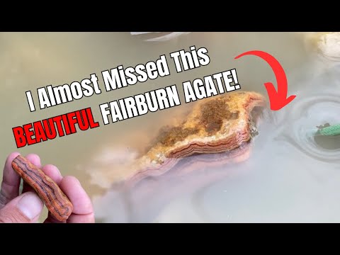 Видео: Изменение планов в последнюю минуту привело меня к приобретению прекрасного агата Фэрберн!