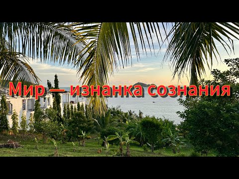 Видео: Кто Ты? Ответ в отсутствии ответа ✨