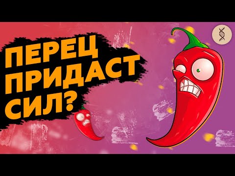 Видео: Острое как СТИМУЛЯТОР. Чем поможет перец чили?