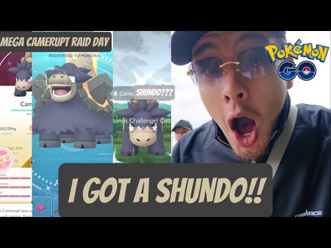 Видео: ✨У МЕНЯ ЕСТЬ ШУНДО+БОЛЬШЕ✨ *ДЕНЬ МЕГА-РЕЙДА КАМЕРУП* Pokemon Go VLOG#87