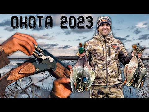 Видео: Попали на пролёт гуся и уток! Охота удалось, но настроение было испорчено...