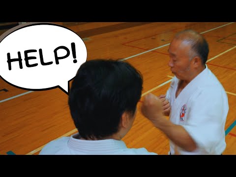 Видео: Поразительная техника ударов руками от мастера окинавского каратэ 6-го дана!