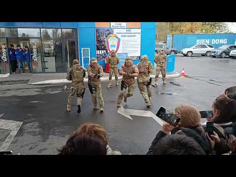 Видео: 1 ноября 2025 г.