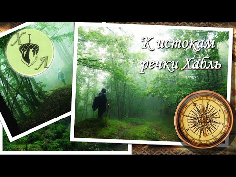 Видео: 14.08.2021. ПУТЕШЕСТВИЕ В ЛЕСОГОРЬЕ - К ИСТОКАМ РЕКИ ХАБЛЬ