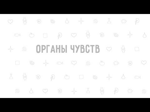 Видео: 20. Органы чувств . Окружающий мир - 3 класс