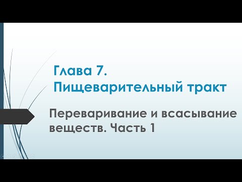 Видео: Физиология. Глава 7. Пищеварительный тракт. Переваривание и всасывание веществ. Часть 1