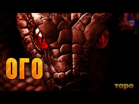 Видео: ‼️😱ПЕРЕПОЛОХ В ЗМЕИНОМ ШАБАШЕ‼️😱😎😎🦾🔥🔥🔥🔥🔥🔥