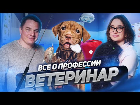 Видео: Профессия — лечить тех, кто не может сказать «больно». Владелец ветеринарной клиники | Подкаст №26