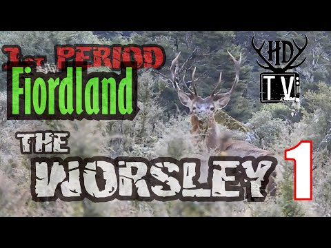 Видео: Приключение по охоте на вапити в Фьордленде, часть 1