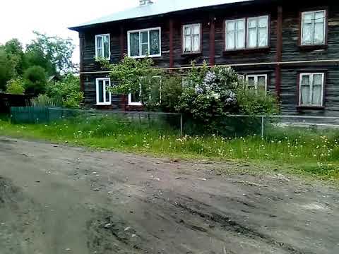 Видео: Аркуль, ул. Бебеля# 7июня2020 г.