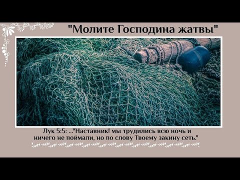 Видео: Проповедь: Молите Господина жатвы - 19.06.2020