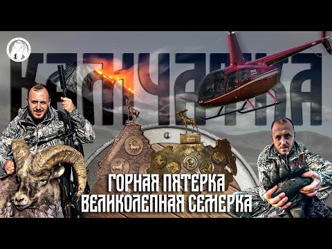 Видео: Снежный Баран/ Бурый Медведь 2023 - Камчатка