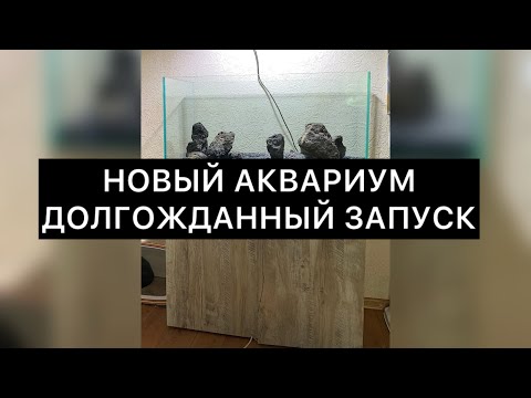 Видео: Аквариум 200 литров Запуск аквариума