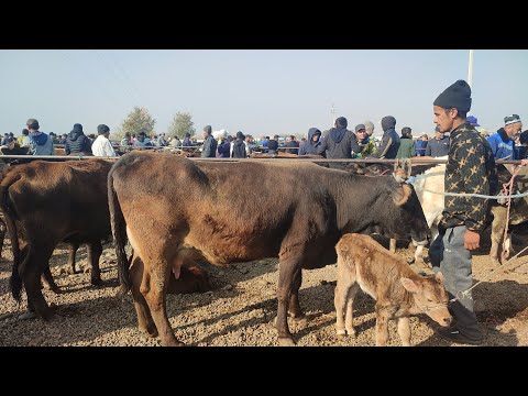 Видео: МОЛ БОЗОРИ Н ДУСТИ МОЛХО АРЗОН ШУЛ