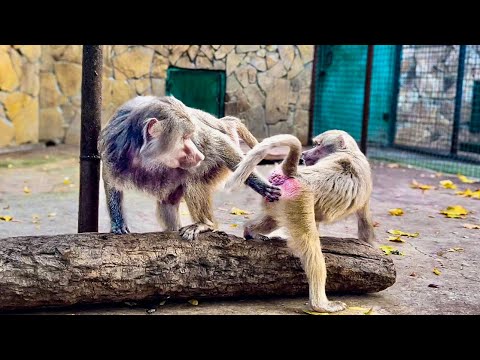 Видео: Я хотела похвалить Лиду, но тут она РЕЗКО БРОСИЛАСЬ на Люсю ни с того, ни с чего…