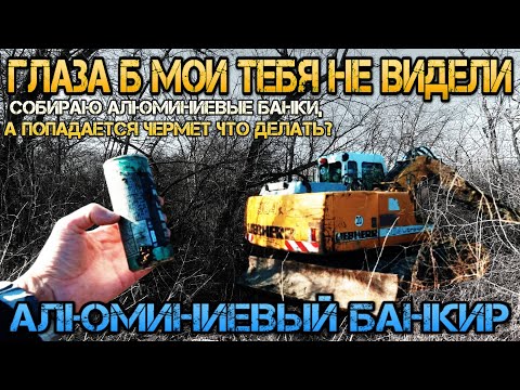 Видео: Сколько можно заработать на сборе алюминиевых банок ?
