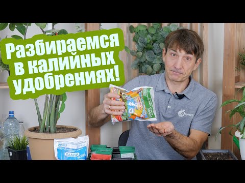 Видео: Калийные удобрения: зачем они нужны и как выбрать?! Все об удобрениях с калием!