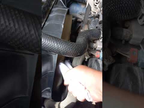 Видео: Вискомуфта Паджеро 2 .