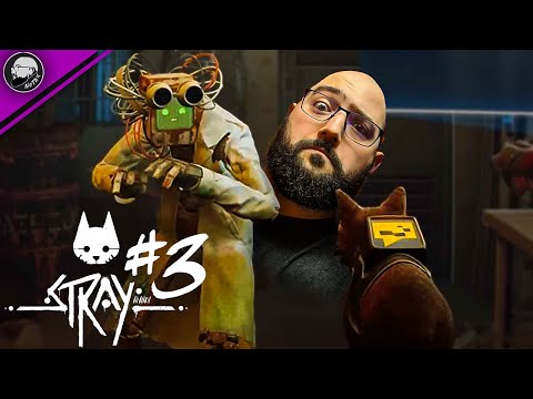 Видео: КАНАЛИТЕ | Stray #3