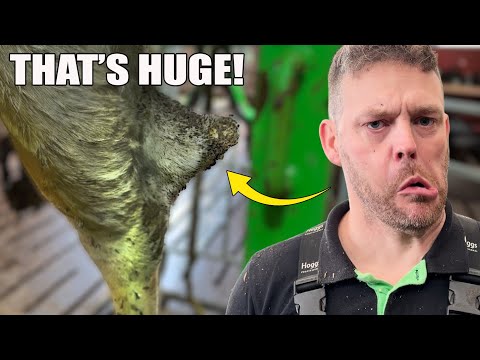 Видео: у нее ОГРОМНАЯ НОВАТОРИЯ на ноге!!!