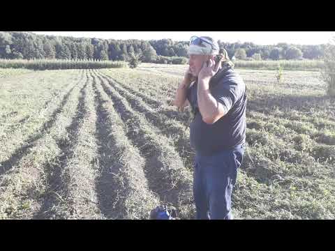 Видео: Коса или мульчер ,что лучше