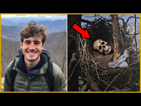 Видео: Турист Пропал в Аппалачах — Через 5 лет его Череп Нашли на Ветке вороньего Гнезда...