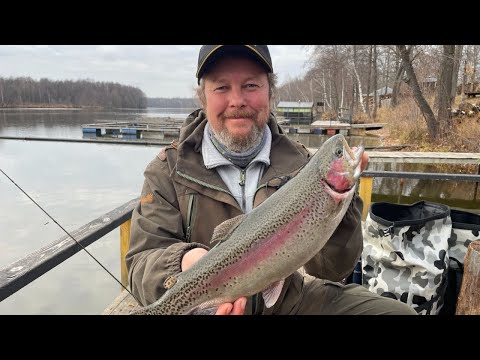 Видео: Осень. Юхро. Форель на спиннинг. Запускаем призовых рыб.