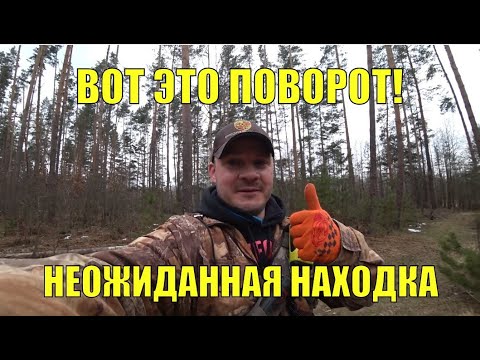 Видео: Вот это поворот! Неожиданная находка. В поисках золота UA!