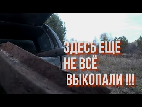 Видео: НАШЛИ ЗАБРОШЕННУЮ ДЕРЕВНЮ!!! ПРОБУЕМ НАЙТИ металл!!!!!