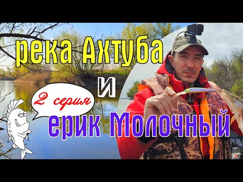 Видео: Неделя дикарями на реке Ахтуба и ерике Молочный, 2 серия. Харабали