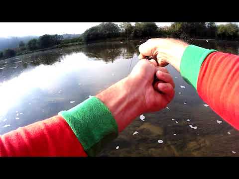 Видео: Риболовля в Карпатах на річці Стрий