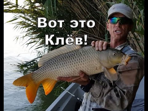 Видео: Осенняя рыбалка на сазана 2018, Часть 2, Балхаш, Завидово