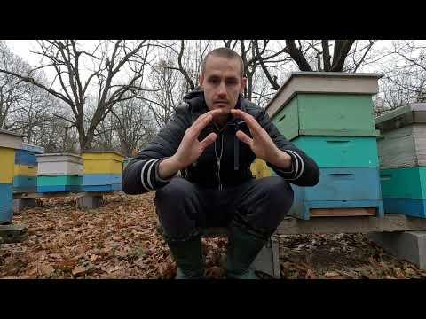 Видео: Кога, дали и защо да дадем питка на пчелите