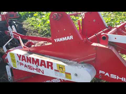 Видео: Самая удобная картофелекопалка PASHIN в работе!