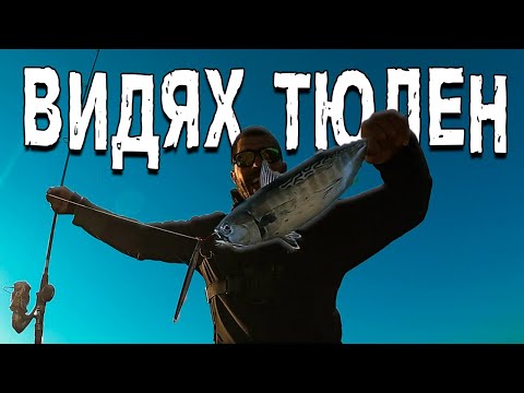 Видео: 4 ДНИ на ФАРА на ЛЕФКАДА. СПИНИНИГ и ШОР ДЖИГИНГ