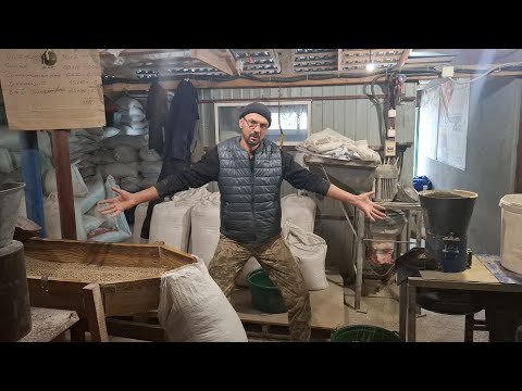 Видео: Щоб свині росли‼️Роби так‼️Найкращий Супер рецепт для свиней‼️