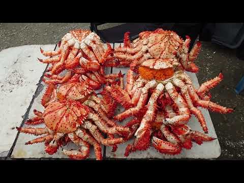 Видео: 14. Бухта Тихая Крабовый рынок Клоковский водопад остров Сахалин август 2024