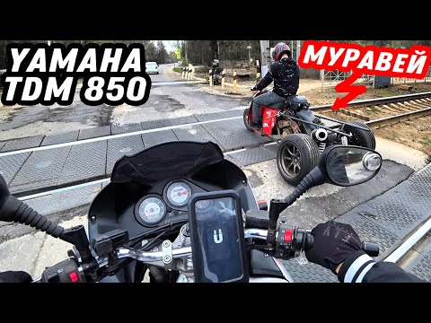 Видео: Обзор Yamaha TDM 850 и гонка с Муравей 700