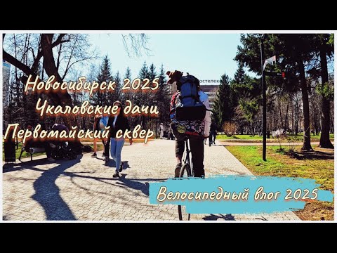 Видео: Чкаловские дачи.Новосибирск2025.Велосипедный влог с собакой#новосибирск#моясобака