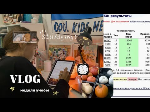Видео: Неделя учебы в 11 классе (влог)