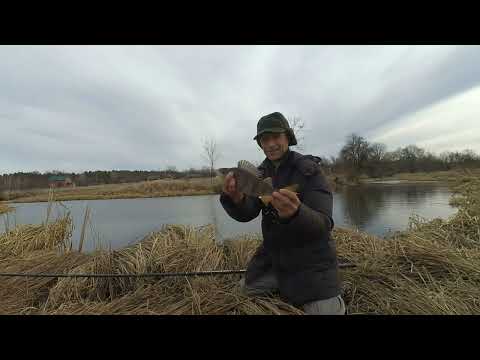 Видео: Рибалка на боковий кивок. Такого КРУПНЯКА Я ДАВНО НЕ ЛОВИВ. Кльов ОКУНЯ ранньою весною,