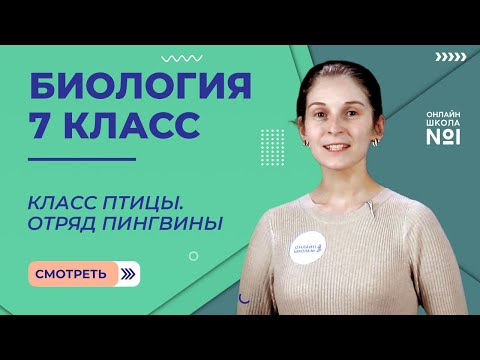 Видео: Класс Птицы. Отряд Пингвины. Урок 24. Биология 7 класс