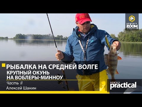 Видео: Рыбалка на Средней Волге. Крупный окунь на воблеры-минноу. Алексей Шанин. Часть 2. Anglers Practical