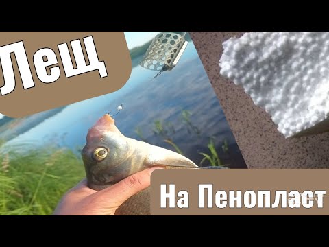 Видео: На пенопласт рыба клюет крупнее!?????
